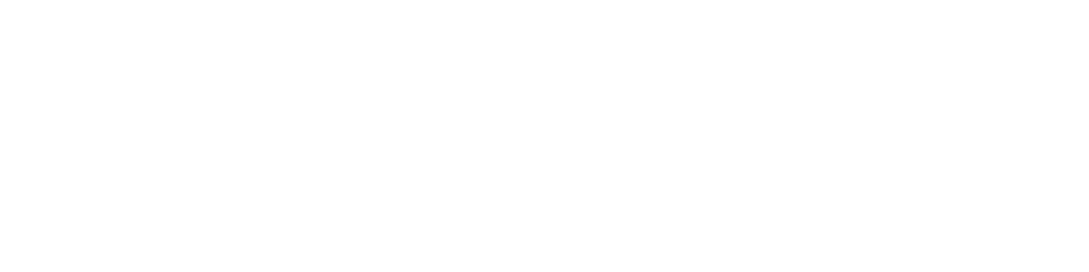 1000x250-NES-logo